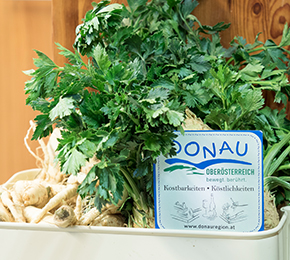 Donauregion